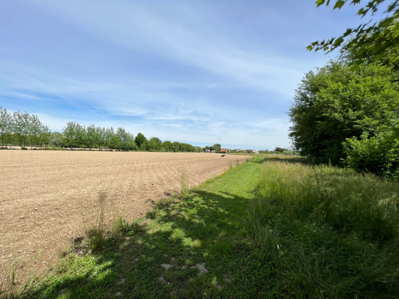 Immagine 11 di Terreno in vendita  in Via Giuseppe Parini a Vigonovo