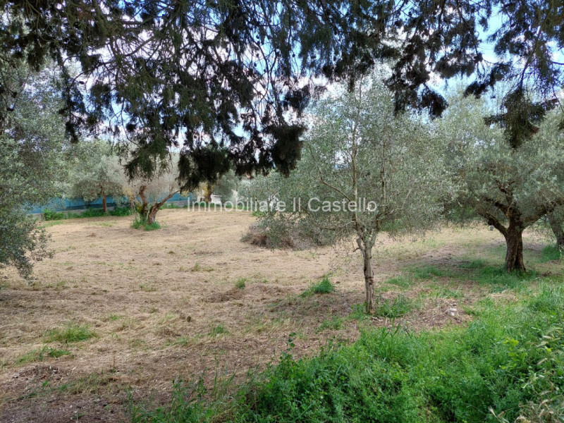 Immagine 3 di Terreno in vendita  in Via Gismè Ricci a Passignano Sul Trasimeno