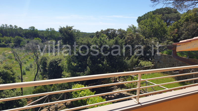 Immagine 18 di Villetta a schiera in vendita  a Castiglione Della Pescaia