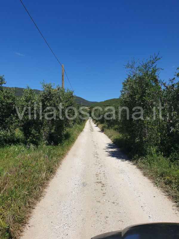 Immagine 32 di Villetta a schiera in vendita  a Castiglione Della Pescaia