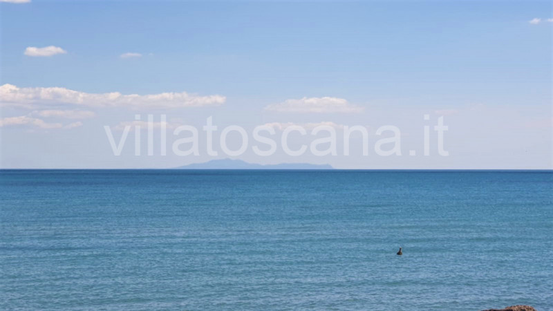 Immagine 37 di Villetta a schiera in vendita  a Castiglione Della Pescaia