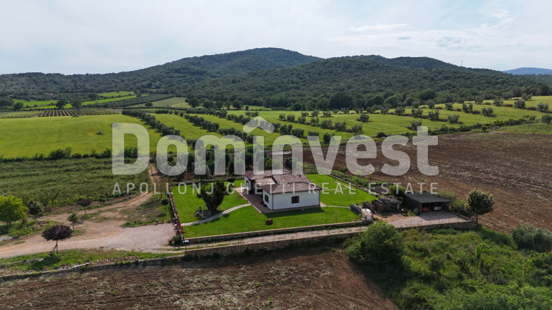 Immagine 14 di Rustico / casale in vendita  in Strada Poggetti a Capalbio