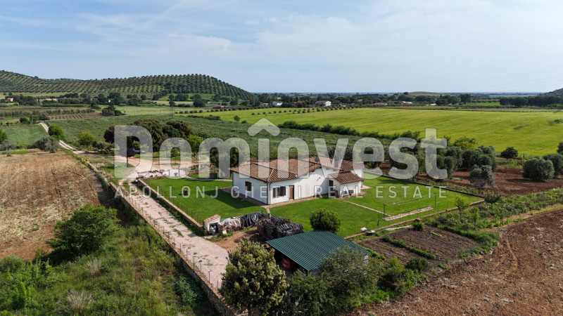 Immagine 17 di Rustico / casale in vendita  in Strada Poggetti a Capalbio