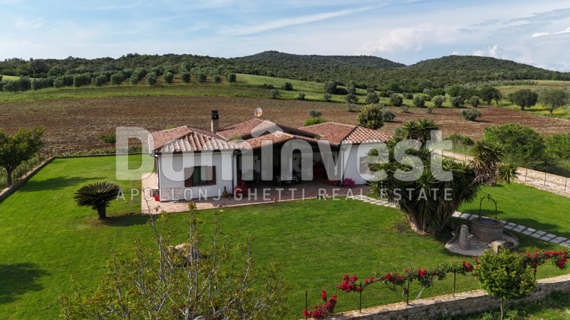 Immagine 21 di Rustico / casale in vendita  in Strada Poggetti a Capalbio
