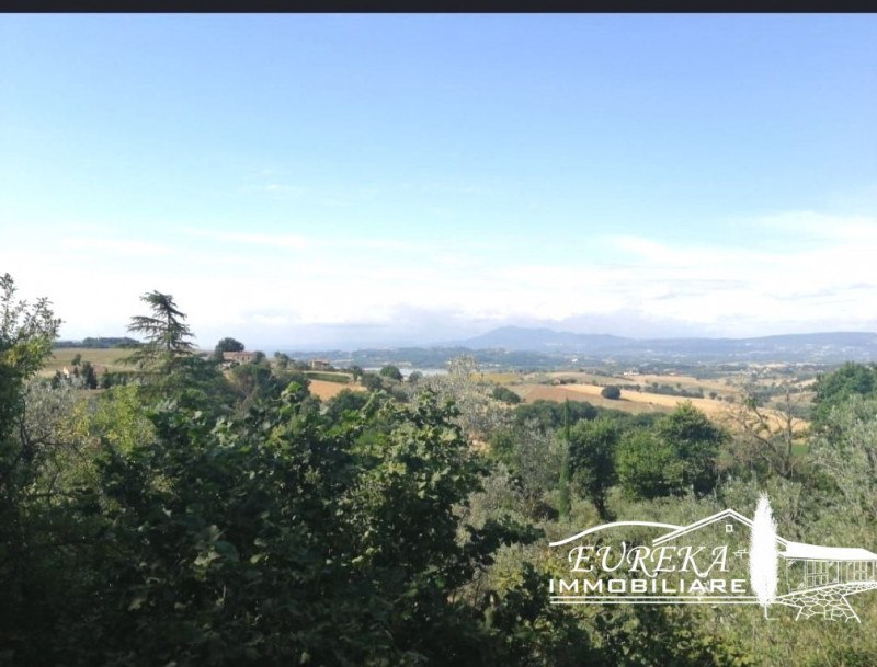 Immagine 20 di Villa in vendita  in Gioiella a Castiglione Del Lago