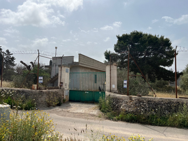 Immagine 2 di Terreno in vendita  in Via Vicinale Pigno a Matino