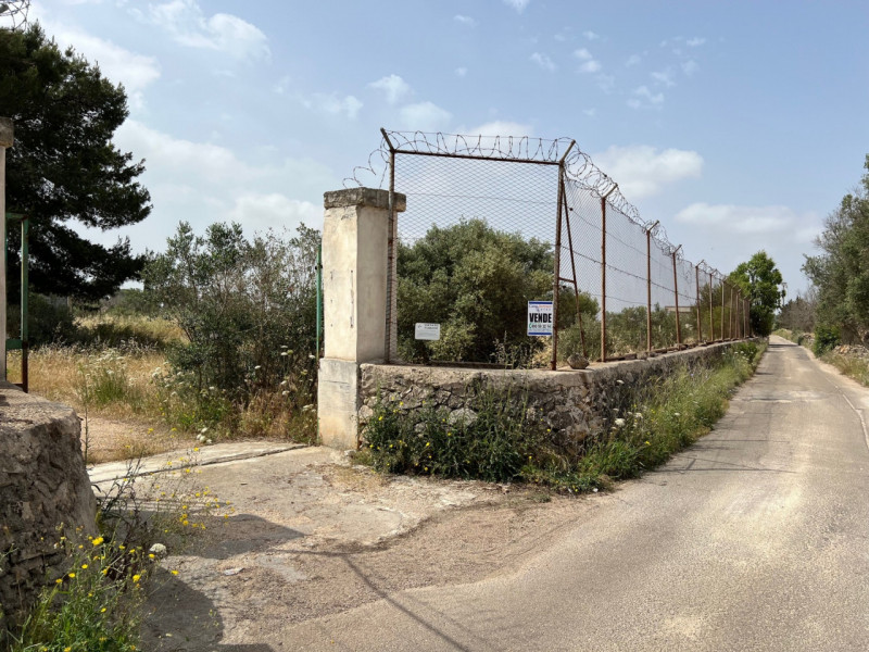Immagine 4 di Terreno in vendita  in Via Vicinale Pigno a Matino