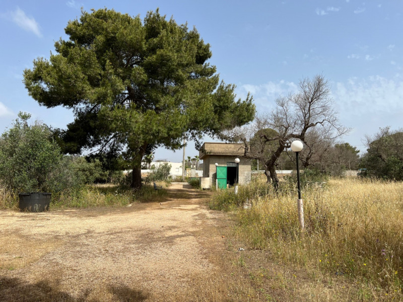 Immagine 12 di Terreno in vendita  in Via Vicinale Pigno a Matino