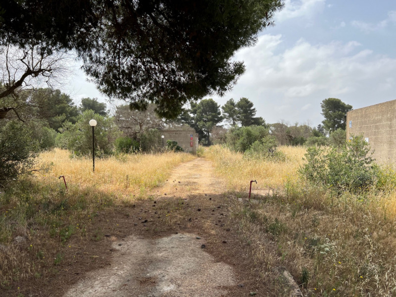 Immagine 13 di Terreno in vendita  in Via Vicinale Pigno a Matino