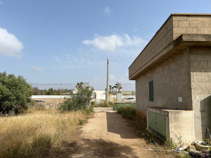 Immagine 15 di Terreno in vendita  in Via Vicinale Pigno a Matino