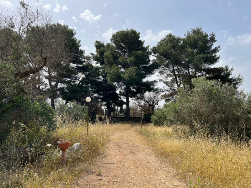 Immagine 17 di Terreno in vendita  in Via Vicinale Pigno a Matino