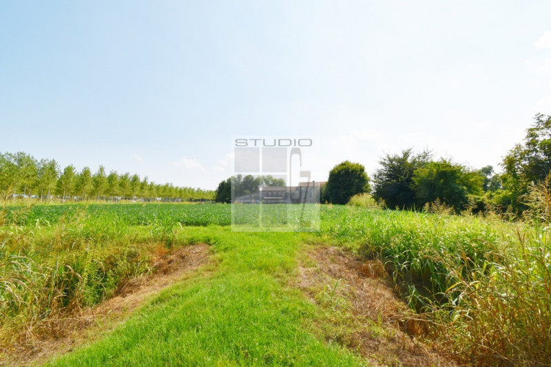 Immagine 13 di Casa trifamiliare in vendita  in via Russia a San Giorgio Delle Pertiche