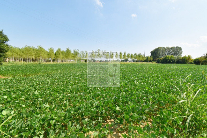 Immagine 14 di Casa trifamiliare in vendita  in via Russia a San Giorgio Delle Pertiche