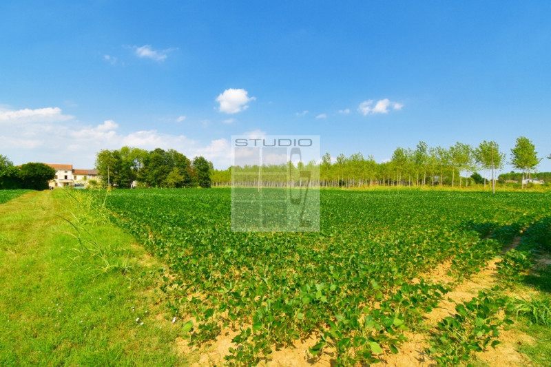 Immagine 15 di Casa trifamiliare in vendita  in via Russia a San Giorgio Delle Pertiche