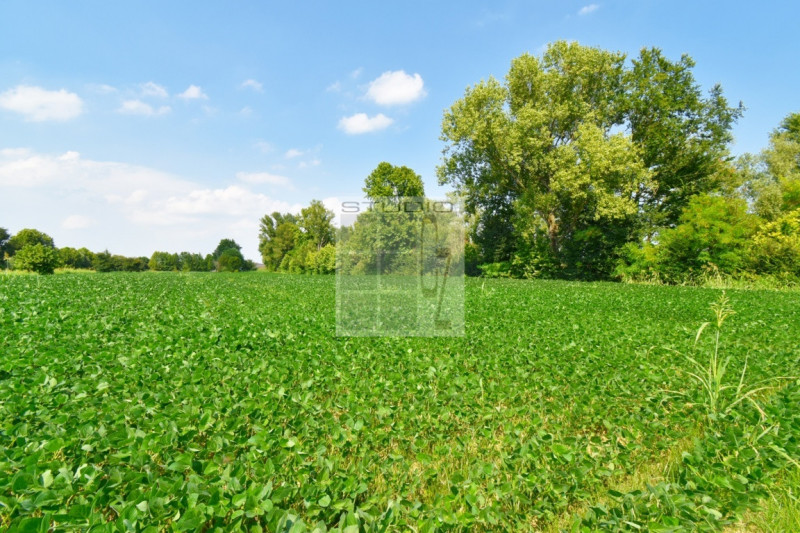 Immagine 16 di Casa trifamiliare in vendita  in via Russia a San Giorgio Delle Pertiche