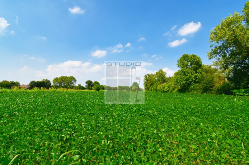 Immagine 17 di Casa trifamiliare in vendita  in via Russia a San Giorgio Delle Pertiche