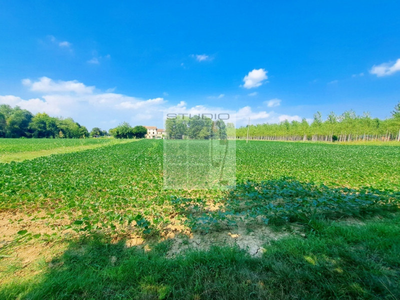 Immagine 18 di Casa trifamiliare in vendita  in via Russia a San Giorgio Delle Pertiche