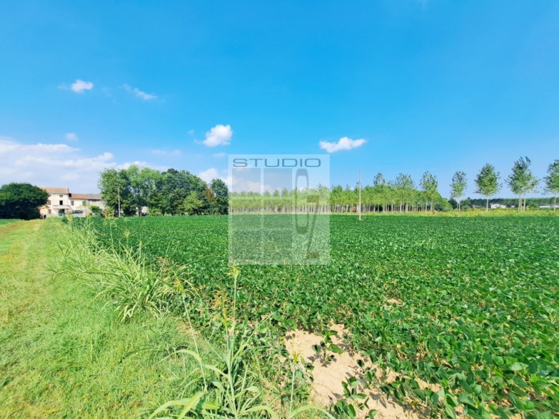 Immagine 19 di Casa trifamiliare in vendita  in via Russia a San Giorgio Delle Pertiche