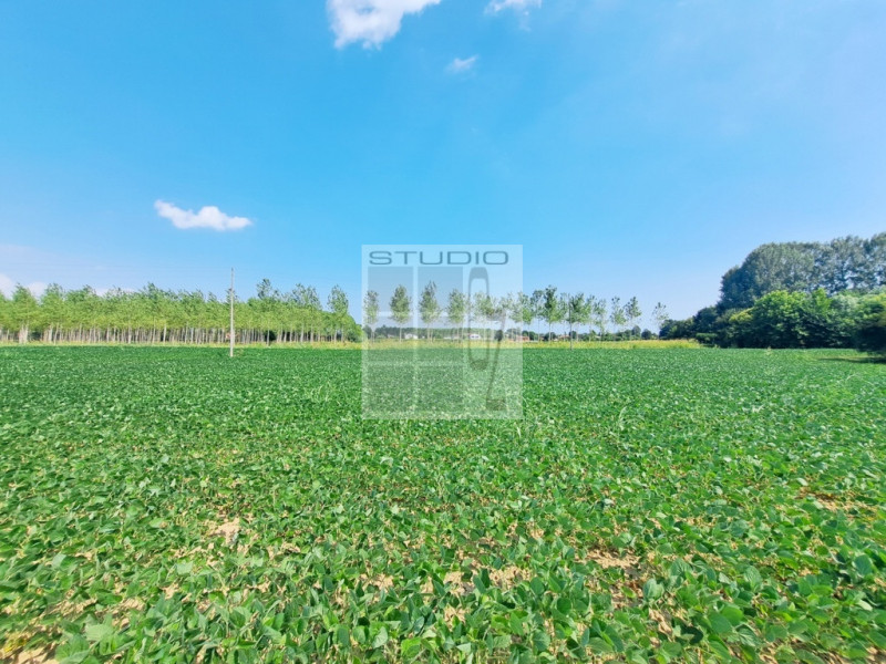 Immagine 20 di Casa trifamiliare in vendita  in via Russia a San Giorgio Delle Pertiche