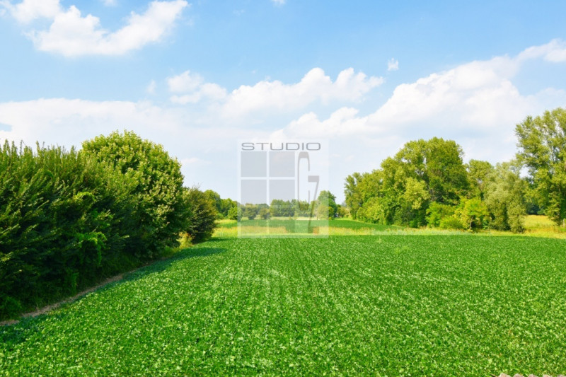 Immagine 22 di Casa trifamiliare in vendita  in via Russia a San Giorgio Delle Pertiche