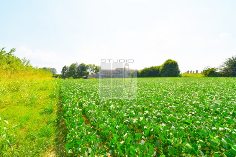 Immagine 23 di Casa trifamiliare in vendita  in via Russia a San Giorgio Delle Pertiche