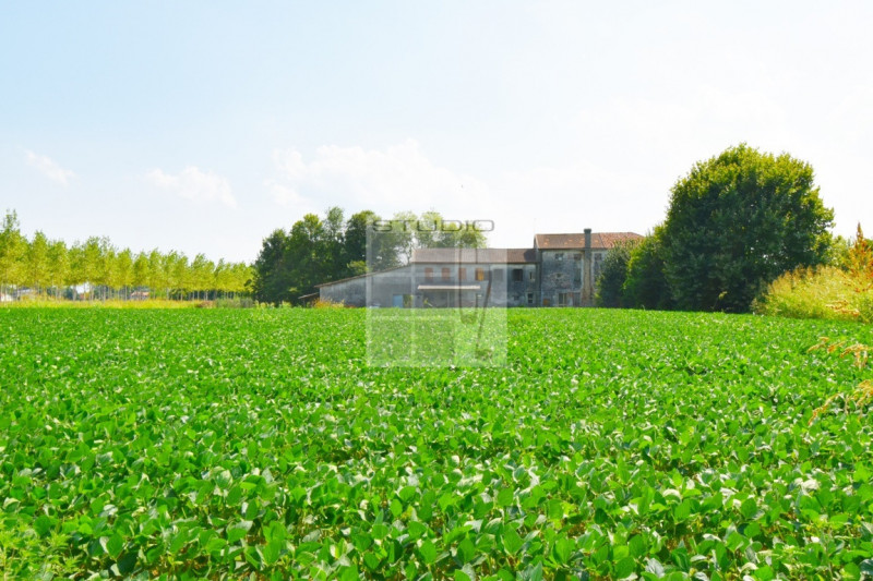 Immagine 24 di Casa trifamiliare in vendita  in via Russia a San Giorgio Delle Pertiche