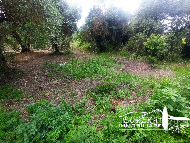 Immagine 24 di Appartamento in vendita  a Castiglione Del Lago