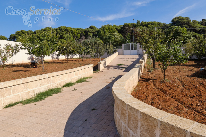 Immagine 6 di Villa in vendita  in Via Scalelle a Gallipoli