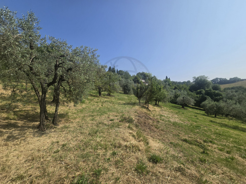 Immagine 2 di Terreno in vendita  in Strada Salaria a Terni