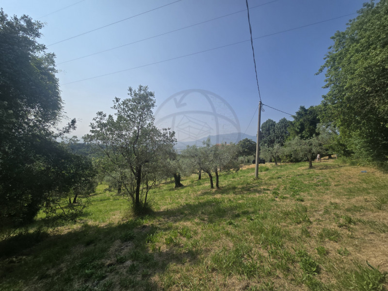 Immagine 4 di Terreno in vendita  in Strada Salaria a Terni