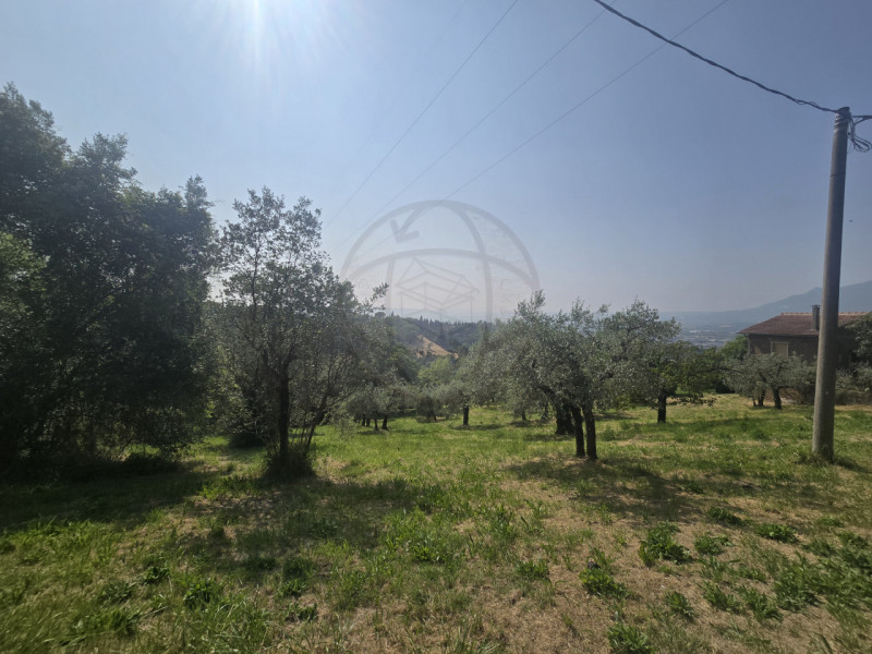 Immagine 6 di Terreno in vendita  in Strada Salaria a Terni