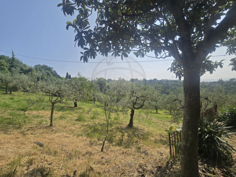 Immagine 10 di Terreno in vendita  in Strada Salaria a Terni