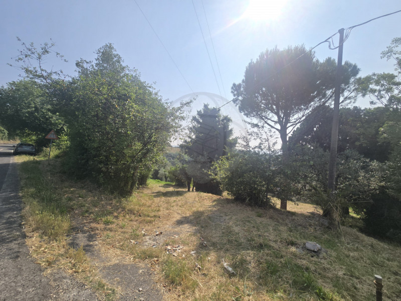 Immagine 12 di Terreno in vendita  in Strada Salaria a Terni
