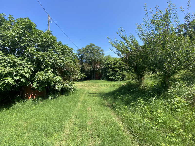 Immagine 2 di Casa indipendente in vendita  a Val Liona