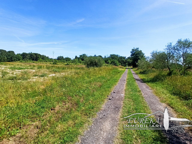 Immagine 22 di Casa indipendente in vendita  in piana a Castiglione Del Lago