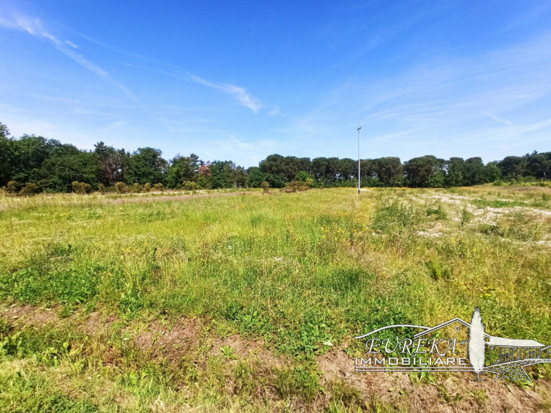 Immagine 24 di Casa indipendente in vendita  in piana a Castiglione Del Lago