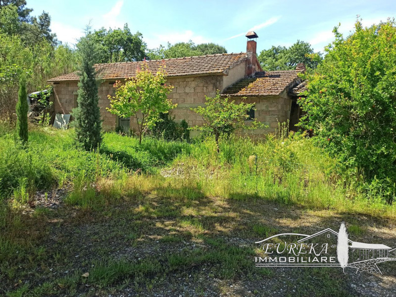 Immagine 26 di Casa indipendente in vendita  in piana a Castiglione Del Lago