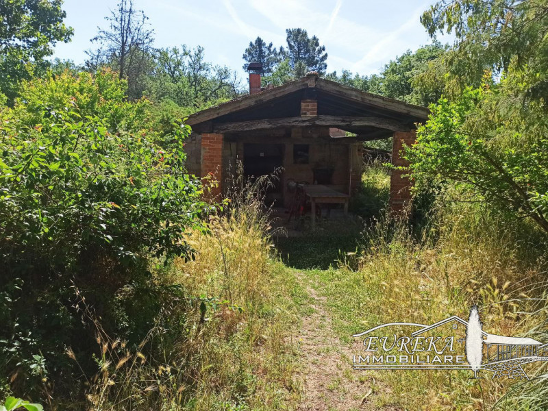 Immagine 29 di Casa indipendente in vendita  in piana a Castiglione Del Lago