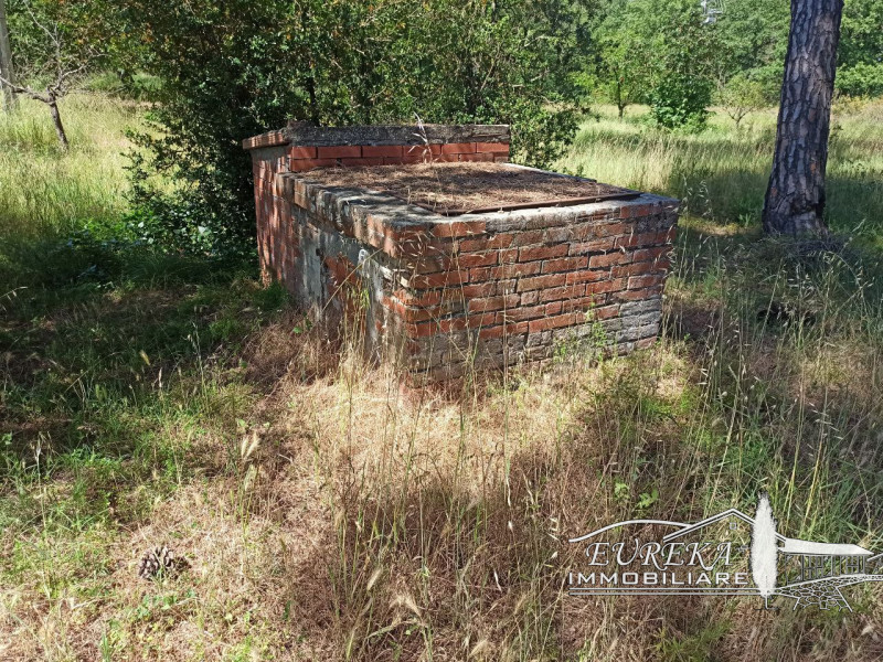 Immagine 30 di Casa indipendente in vendita  in piana a Castiglione Del Lago