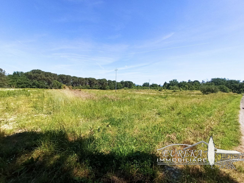 Immagine 31 di Casa indipendente in vendita  in piana a Castiglione Del Lago