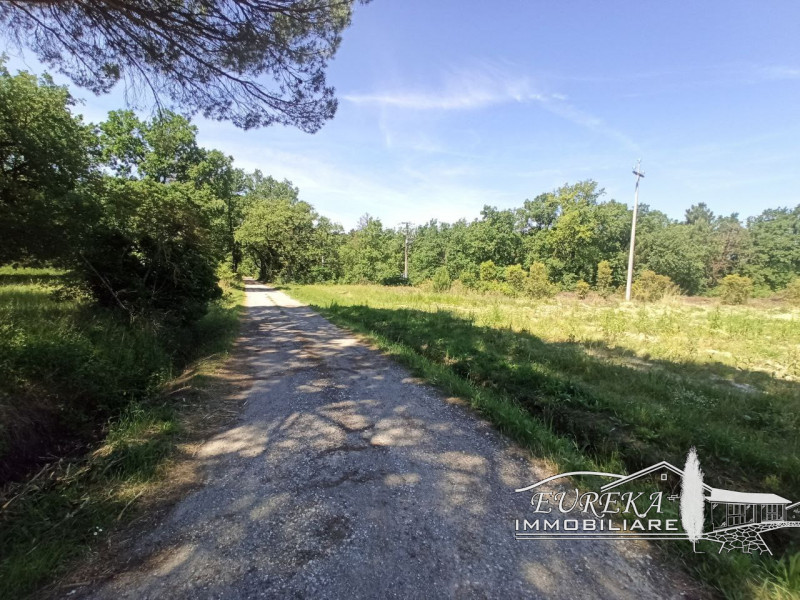 Immagine 32 di Casa indipendente in vendita  in piana a Castiglione Del Lago