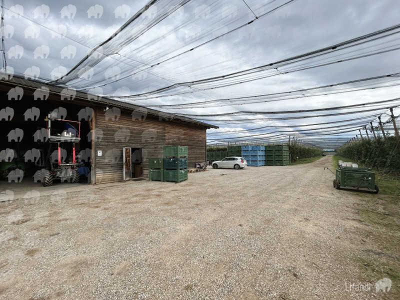 Immagine 9 di Terreno in vendita  in Azienda Agricola/Castions di Strada a Castions Di Strada