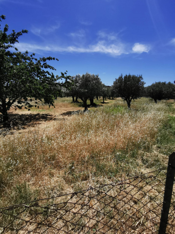 Immagine 1 di Terreno in vendita  in via galiani a Catanzaro