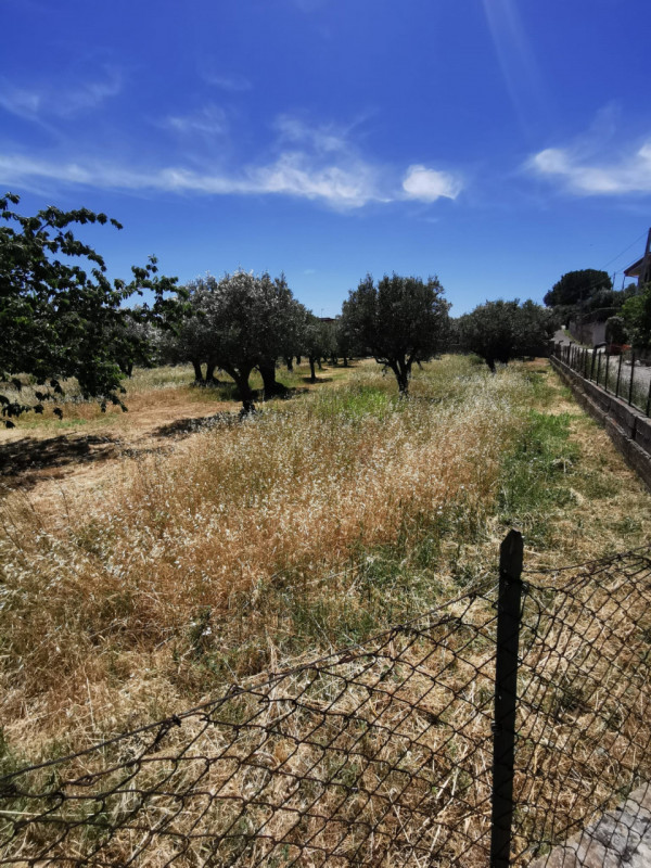Immagine 2 di Terreno in vendita  in via galiani a Catanzaro