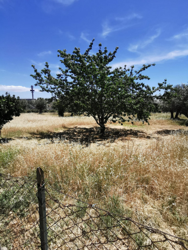 Immagine 3 di Terreno in vendita  in via galiani a Catanzaro