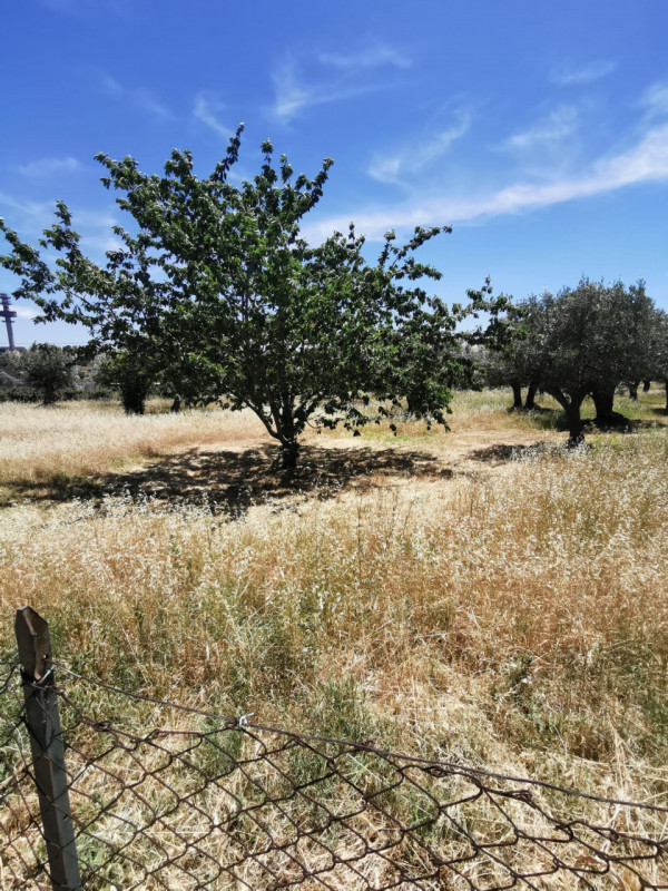 Immagine 4 di Terreno in vendita  in via galiani a Catanzaro