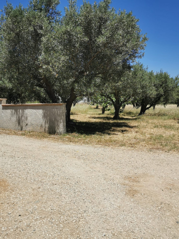 Immagine 8 di Terreno in vendita  in via galiani a Catanzaro