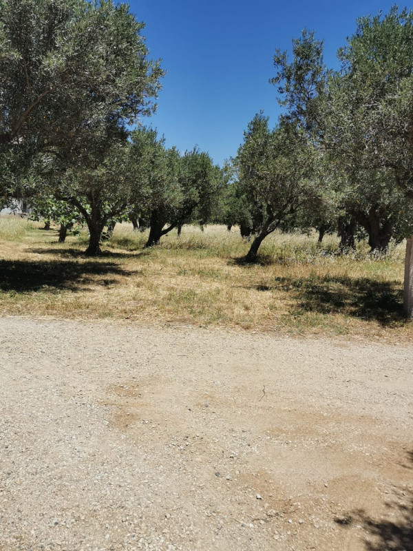 Immagine 9 di Terreno in vendita  in via galiani a Catanzaro
