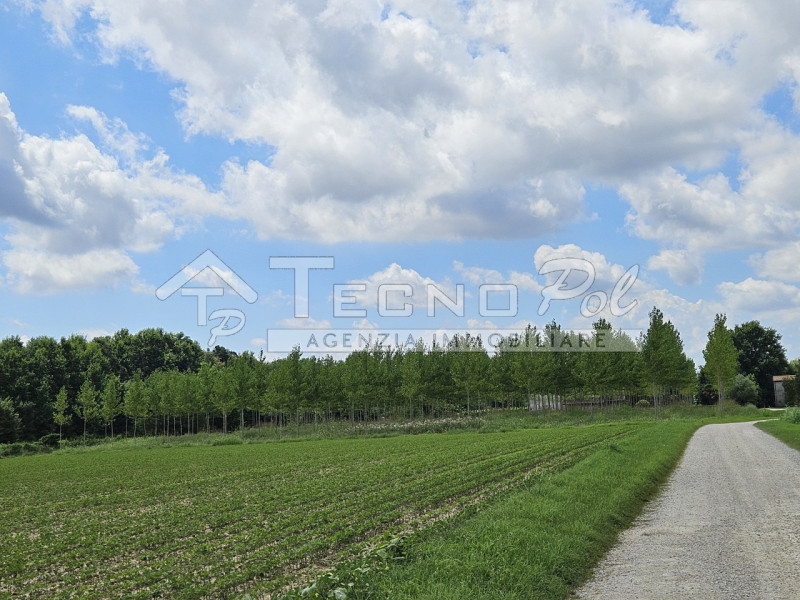 Immagine 2 di Terreno in vendita  in via caltana a Campodarsego