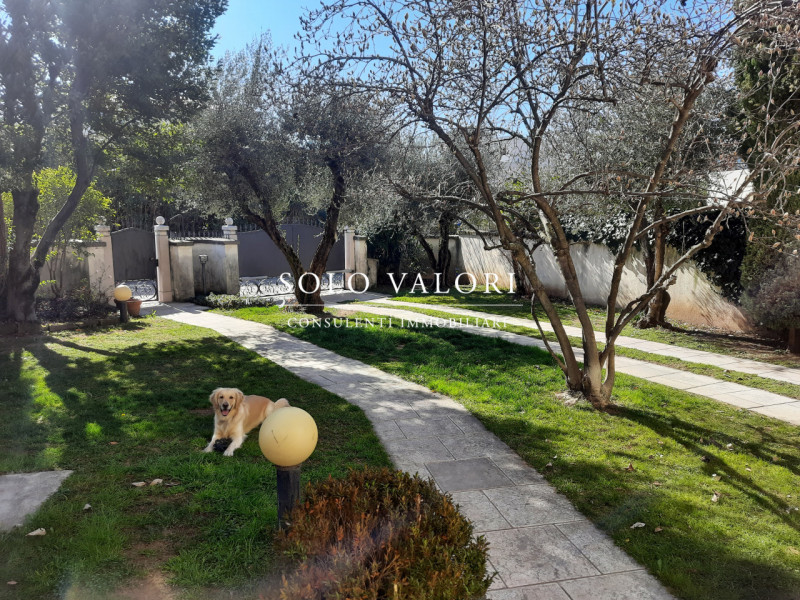 Immagine 18 di Casa indipendente in vendita  in Viale vicenza a Bassano Del Grappa